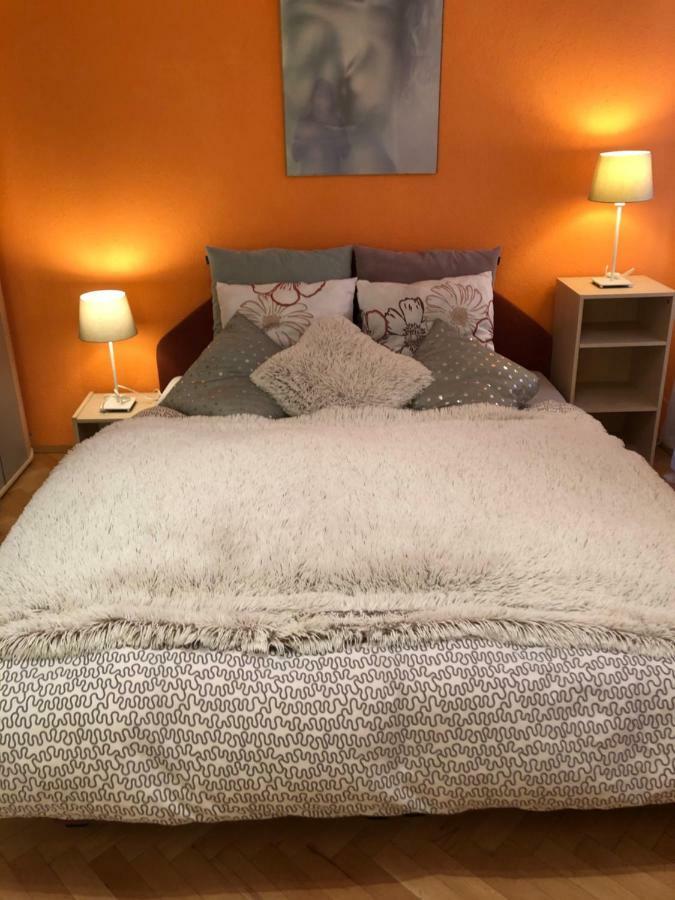 Apartman Orchidej U Vridla كارلوفي فاري المظهر الخارجي الصورة