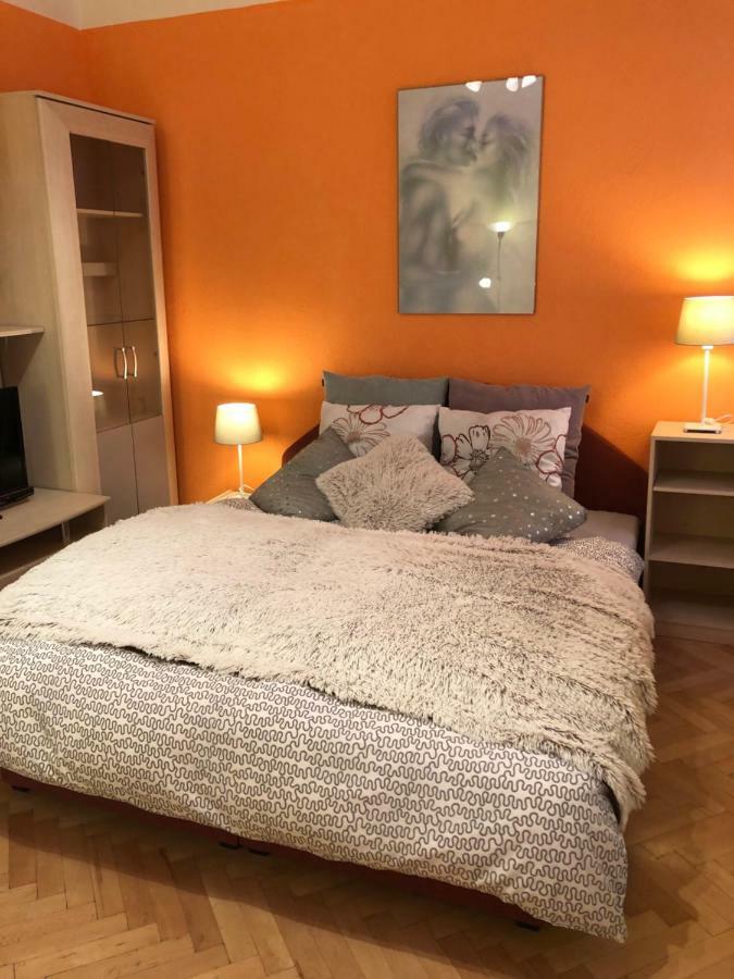 Apartman Orchidej U Vridla كارلوفي فاري المظهر الخارجي الصورة