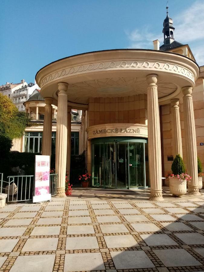 Apartman Orchidej U Vridla كارلوفي فاري المظهر الخارجي الصورة