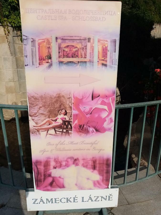 Apartman Orchidej U Vridla كارلوفي فاري المظهر الخارجي الصورة