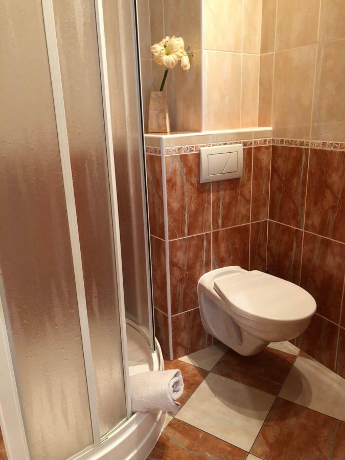 Apartman Orchidej U Vridla كارلوفي فاري المظهر الخارجي الصورة